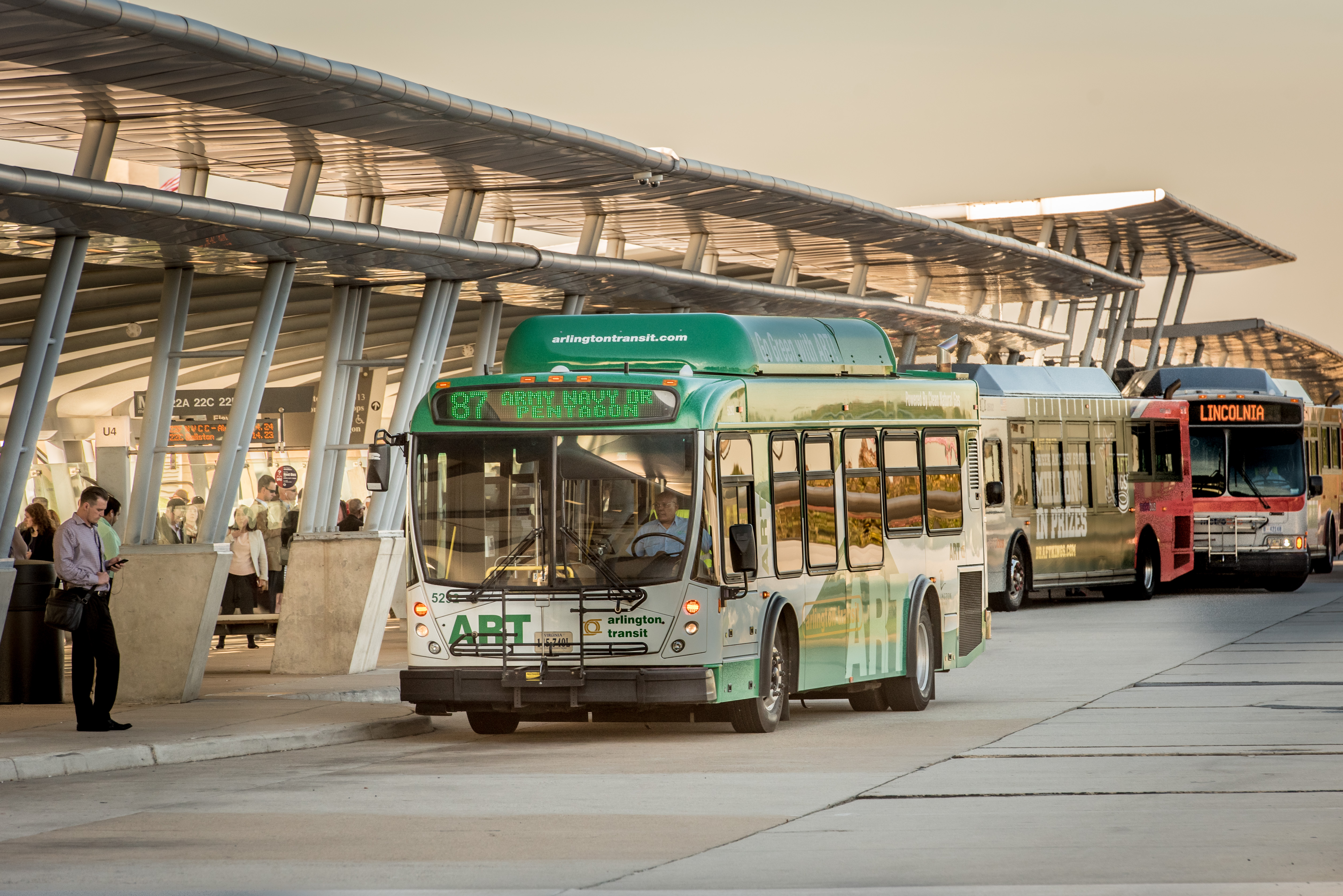 Image of ART 87 Bus parked at station